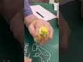③セキセイインコのすずおちゃんの予防、抗寄生虫薬モキシデクチン滴下