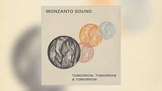 Monzanto Sound - The Fool [Audio]
