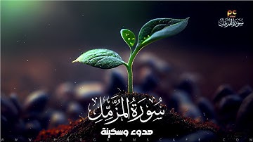 سورة المزمل | هدوء وسكينة للقلب | كأنك تراها