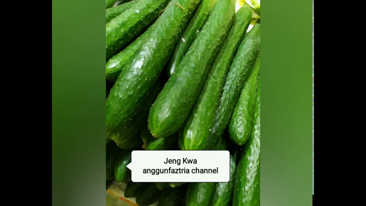 Nama sayuran Di HONG KONG - YouTube