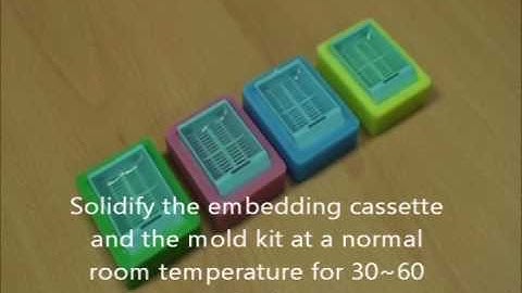 Tissue microarray with  Recipient block mold kit