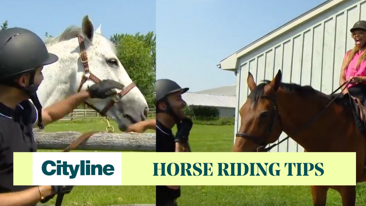 What to know before horse riding for the first time - YouTube