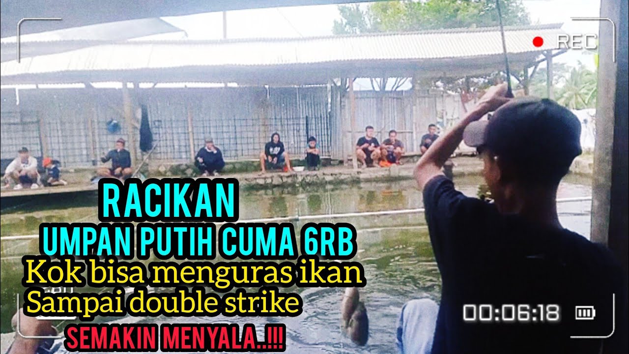 TES UMPAN PUTIH CUMA 6RB‼️TANPA ESSEN TANPA KROTO‼️KOK BISA DOUBLE STRIKE ANYINNNKKKK