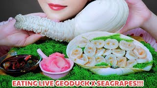 Asmr Making Live Geoduck Sashimi And Raw Seags Crunchy Eating Sounds Linh-Asmr