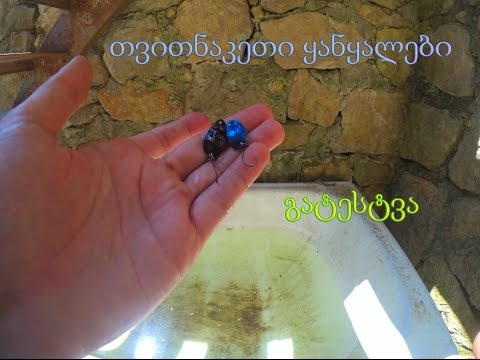 თვითნაკეთი ყანყალების ტესტი