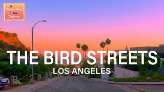 Driving at Sunset | The Bird Streets  Beverly Hills  Rodeo Drive | Relaxing Immersive | HDR 60fps