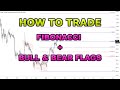 How to Trade Fibonacci and Bull/Bear Flag Technique. Techniques for Stocks, Crypto, Forex. #Bitcoin.