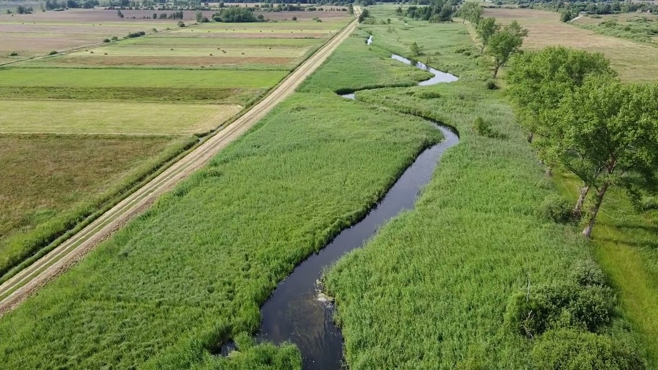 Karwieńskie Błota Drugie i Rzeka Piaśnica