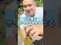 酵母菌ってすごい！ #animals #雑学 #nature