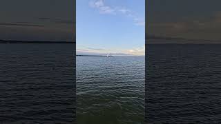 The Laguna of Nida, Lithuania
https://www.youtube.com/channel/UCdNO3SSyxVGqW-xKmIVv9pQ/join
www.settime2588.com
www.facebook.com/settime2588
instagram: settime2588
www.twitter.com/settime2588 The Laguna of Nida, Lithuania