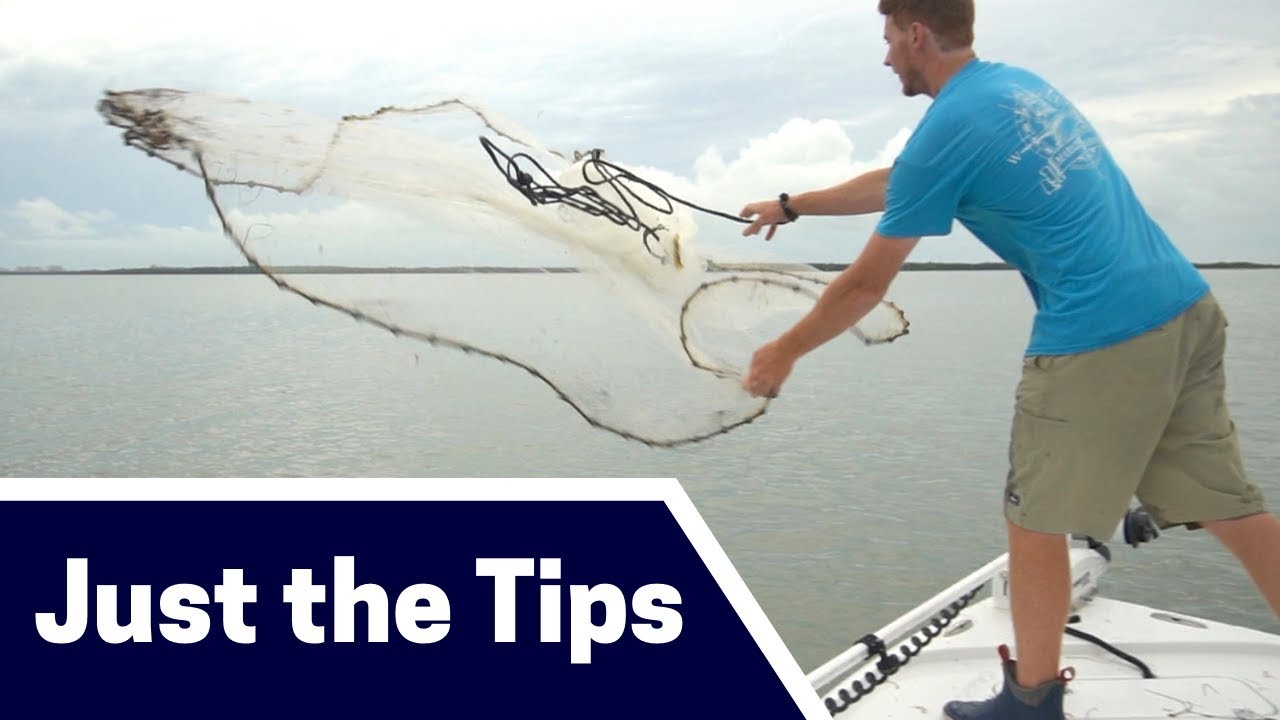 How To Catch Live Bait Three Techniques [Just the Tips] YouTube