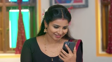 Karthigai Deepam - Full Ep - 984 - Karthikeyan, Deepa, Abirami - Zee Tamil
