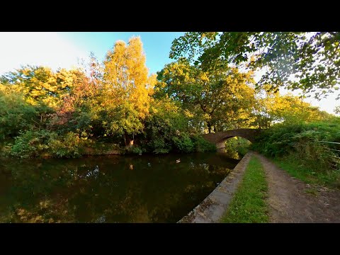 Hopwas Forest Canal Early Morning Walk, English Countryside 4K. Walking Tour