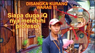 Rumah antik serba remote
