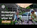 Urban self-reliance: homestead in Oakland's small rented lot