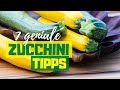 ZUCCHINIS RICHTIG ANPFLANZEN | 7 Zucchini Tipps für eine riesige Ernte leckerer(!) Früchte
