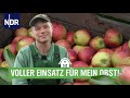 Durchs jahr mit obstbauer olli blohm  doku  reportage  ndr