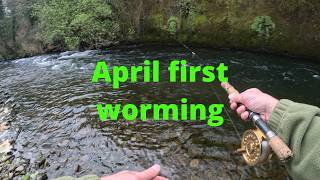 Worming for brown trout on a Welsh clearwater river.