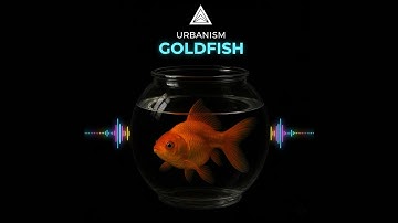 URBANISM - GOLDFISH [OFFICIAL VIDEO]