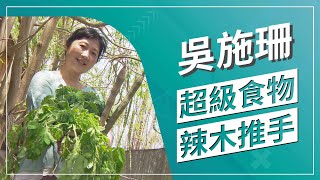 草地狀元-奇蹟之樹 辣木職人(2022.10.24播出)