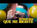 Luis fernando borjas  que me hiciste oficial