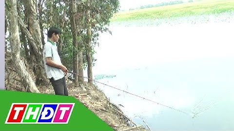 THDT - Tạm ngưng câu cá tại VQG Tràm Chim