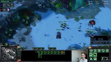 ZvZ 13/12 LingBane/LingFlood Pressure Defense Tutorial !