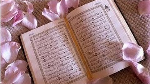 القرآن الكريم تلاوة هادئة للنوم و الاسترخاء و الراحة النفسية the Holy Quran le Saint Coran