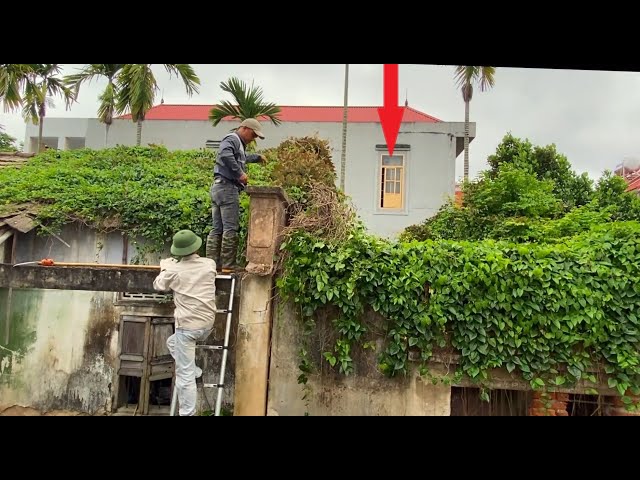 Cut down parasitic trees on the roof | Cutting down trees or cutting trees on the roof is dangerous class=