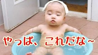 爆笑 癒し 赤ちゃん最高 超可愛くて めちゃくちゃ笑える赤ちゃん画像集めました Youtube