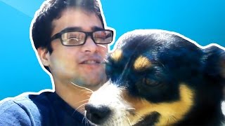 Noisy Dog Vlog