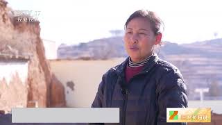 [三农长短说]山西武乡 竹架挂满手工挂面 满院飘香 | 农业致富经 Agriculture And Farming