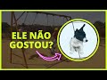 PARQUINHO COM AS CRIANÇAS E NOSSO PINSCHER | Família Borja