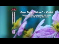 Gem Drop Chime - Violet by Woodstock Chimes