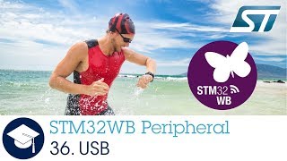 STM32WB OLT - 36. USB Full Speed Device interface USB