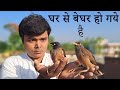 अब मै क्या करू Saving Birds