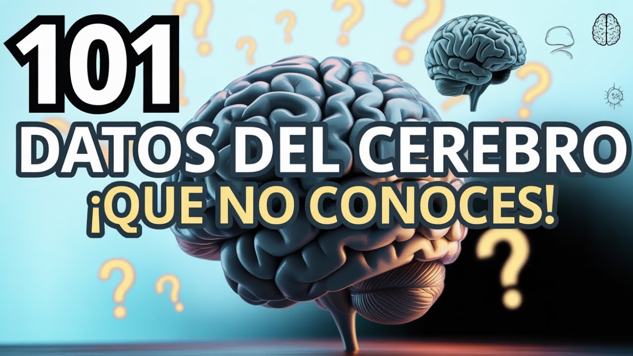 101 secretos del cerebro que te sorprenderán