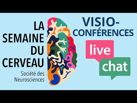 Vidéo: Comment Les Jeux Vidéo Affectent Le Cerveau Humain