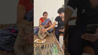 Monkey Rani Ka Mn Nhi Hai