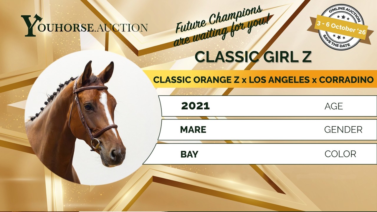 Classic girl Z IN THE 'OCTOBER EDITION' YOUHORSE.AUCTION UNDER THE