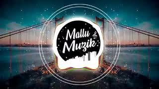 Stereo Hearts x Zaalima Hindi x English Mashup | DJ Sid | Mallu Muzik Official360p Resimi