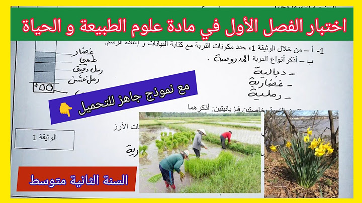 اختبار الفصل الأول في مادة علوم الطبيعة و الحياة السنة الثانية متوسط مع نموذج جاهز للتحميل 👇