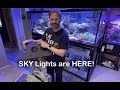 Sky - LEDs over my 400g reef?!