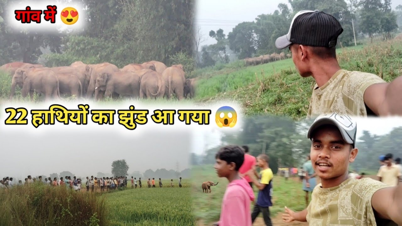 22 हाथियों का झुंड आ गया 😱 गांव में 😍!! village life vlog ❤️!! #villagelife