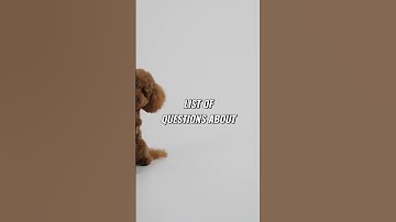 SEO Hack: Boost Your Article