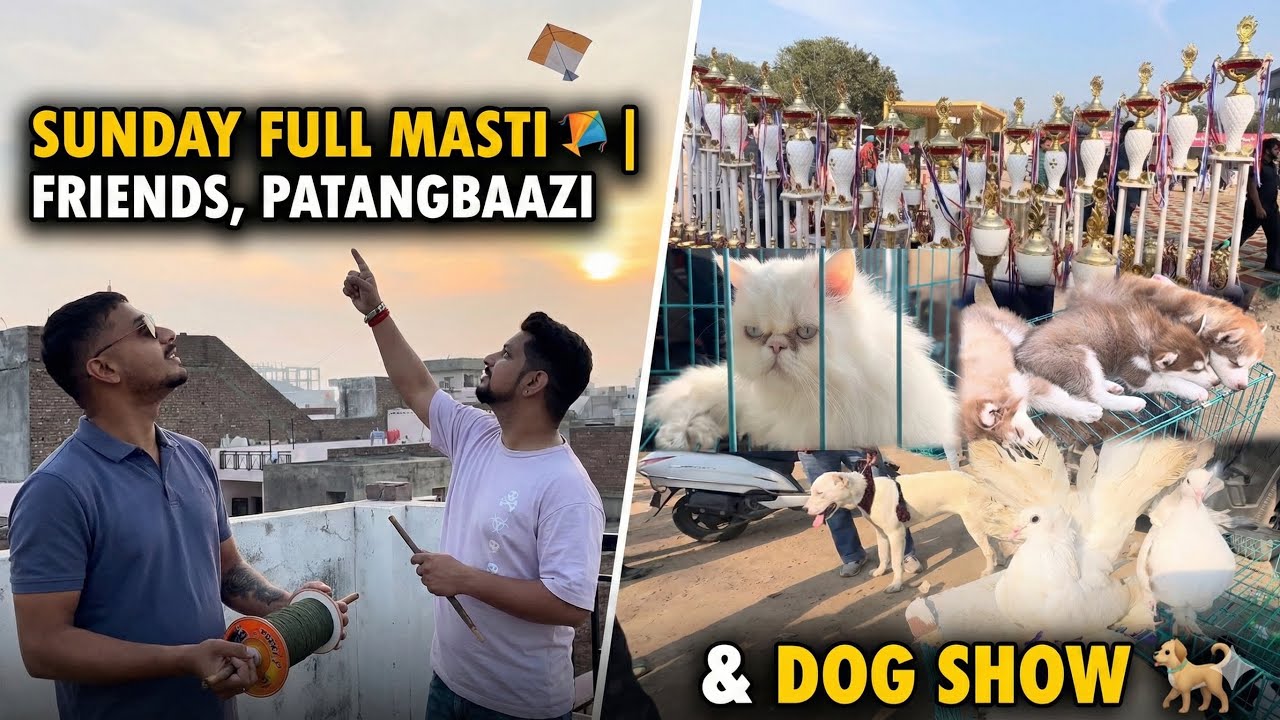 Sunday Full Masti 🪁 | Friends, Patangbaazi & Dog Show 🐕