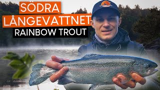 RAINBOW TROUT fishing at Södra Långevattnet