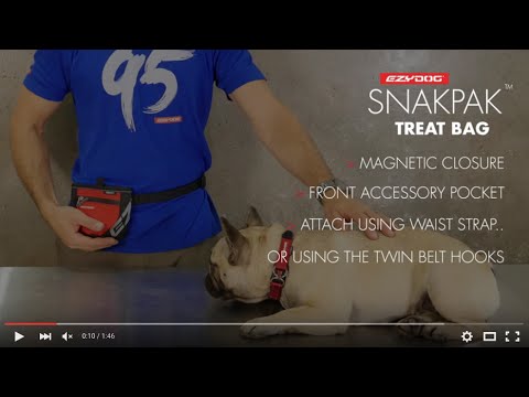 How to attach a Dog Treat Bag - EzyDog SnakPak Treat Bag