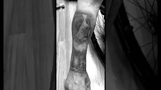 Realism Saint Bernard tattoo Dave using his cremation ashes    #tattoo #realismtattoo #stbernard