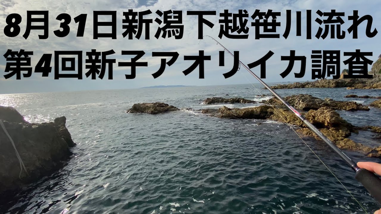 21年8月31日アオリイカ調査in笹川流れ Youtube